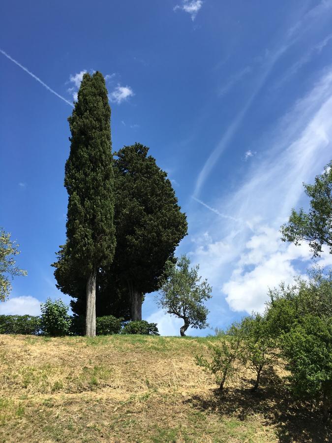 Albergo Le Sorgenti Chianciano Terme Exterior foto