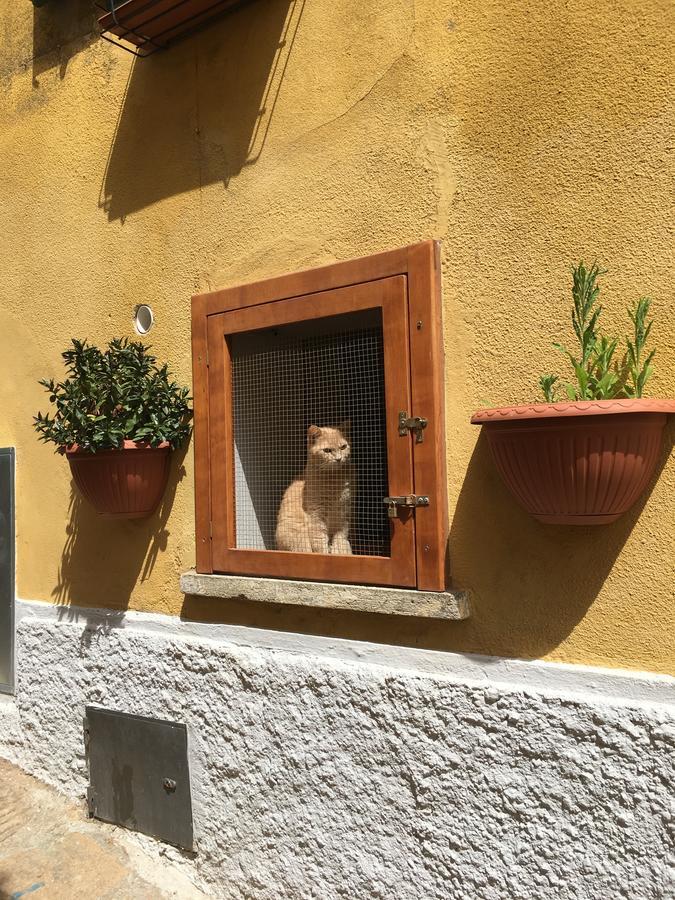 Albergo Le Sorgenti Chianciano Terme Exterior foto